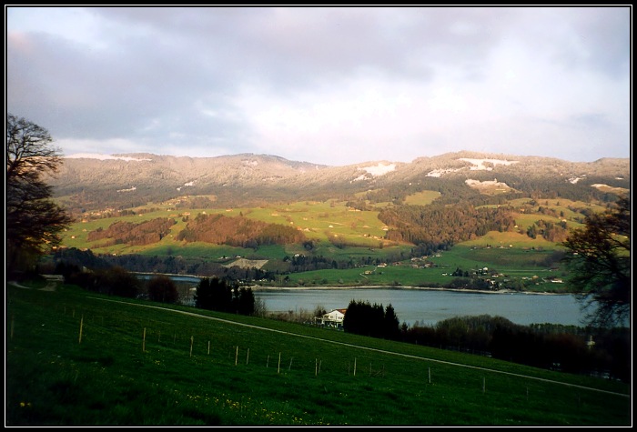 Lac de la Gruyère 6