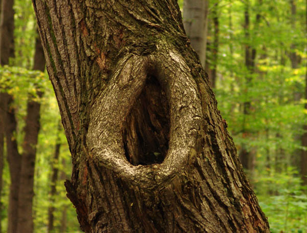 Kam se podívám, kousek tebe mám ...