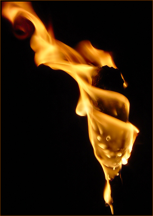 ..PLASMA..