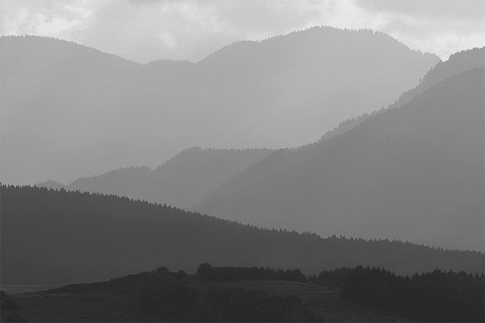<b>Horizonty:</b> LIPTOV