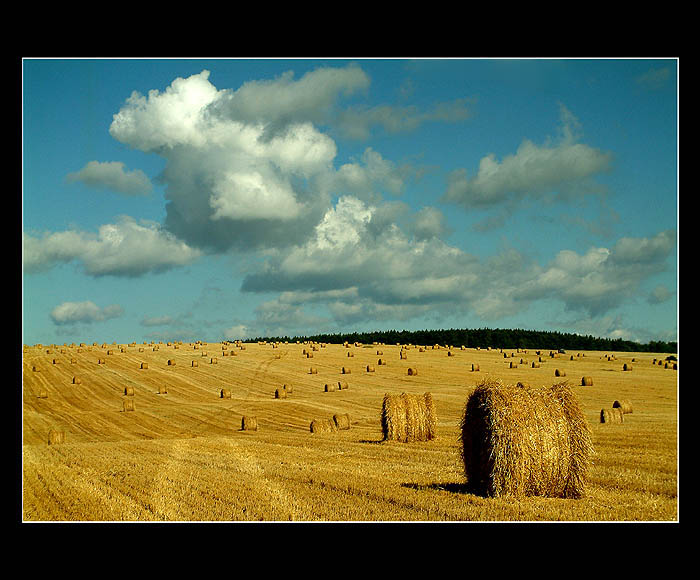 Balíci