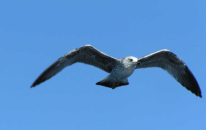 Jen se tak vznášet