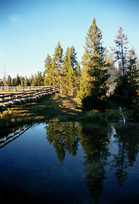 Yellowstone National Park USA, summer 2003