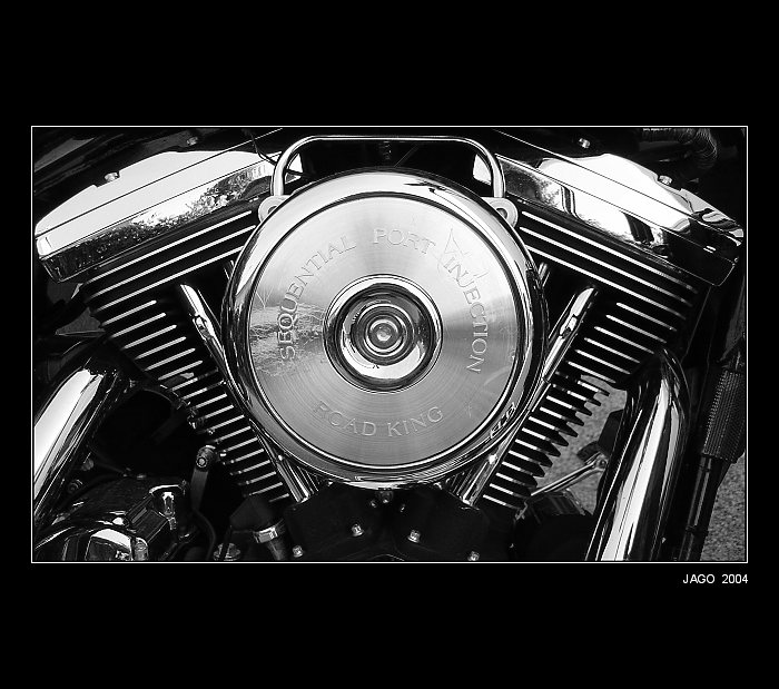 HARLEY-DAVIDSON  ROAD KING...