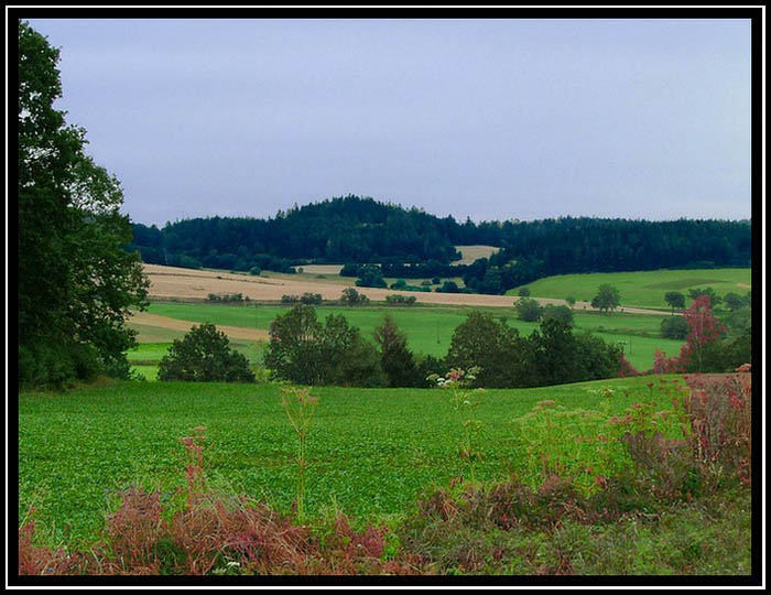 Předšumaví