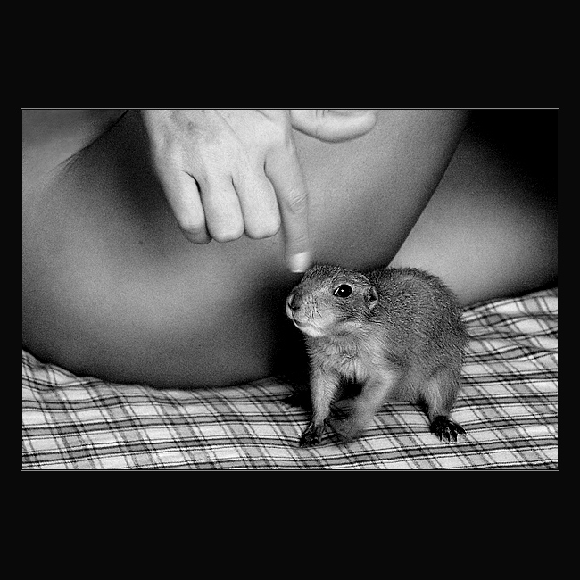 * JDI OD MÝHO BOBRA!! *