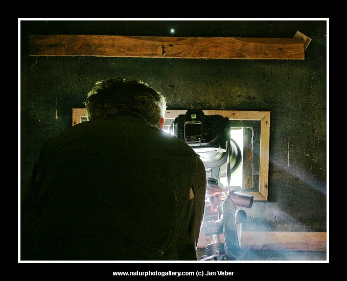 Ve chvíli čekání