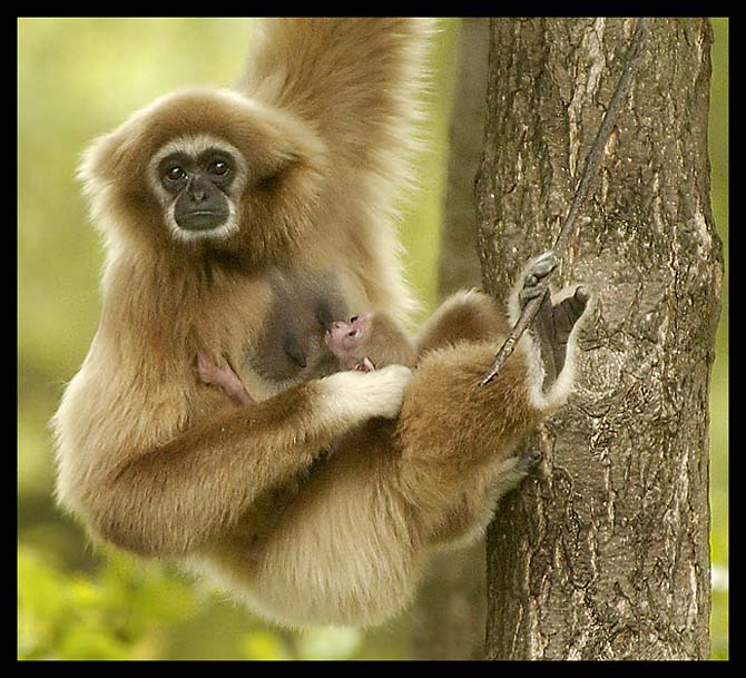 Mléčný bar - provoz nepřerušen!!
