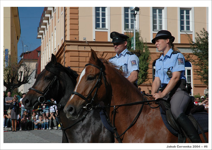 <b>#6 - policie jinak</b>