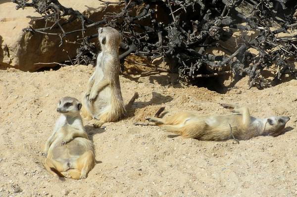 <b>.:Odpolední siesta:.</b>