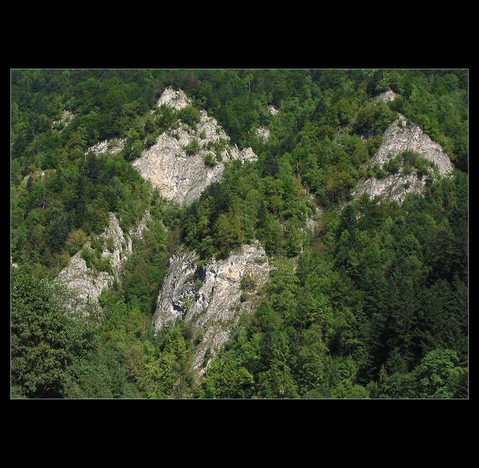 O skamenelých mníchoch...