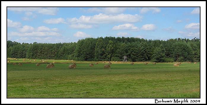 Panorama...
