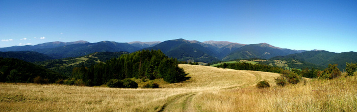 cestička
