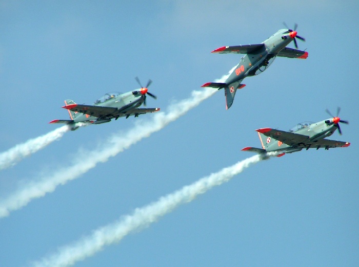 CIAF 1