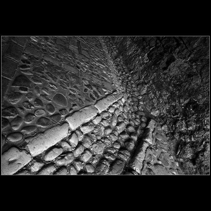 ...zpověď mrtvého racka...