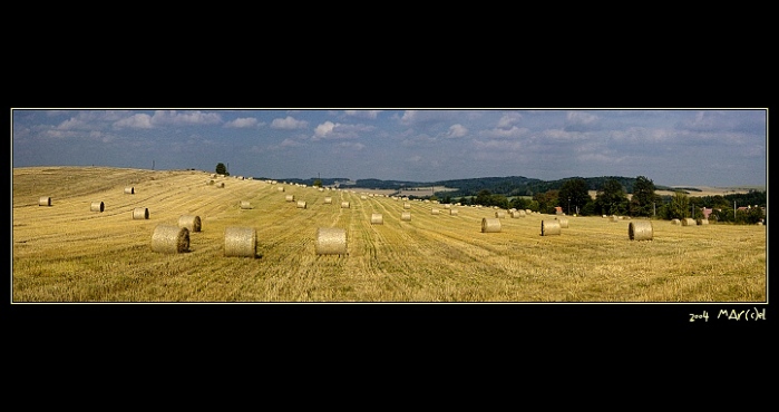 ..:: Českosibiřské balíky ::..