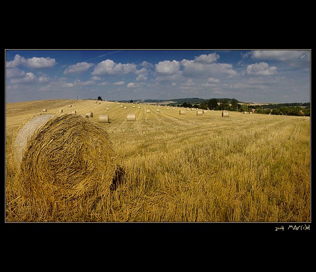 ..:: českosibiřský balík plný slámy ::..