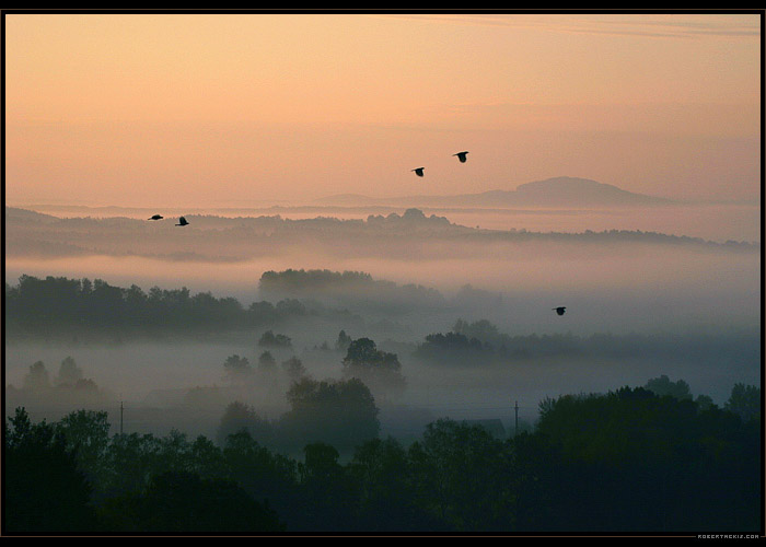 Dotek studených časů