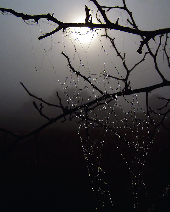 Poslední záležitosti letošního léta - zádumčivost.