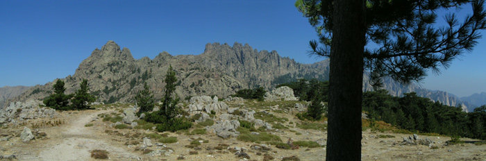 Bavela