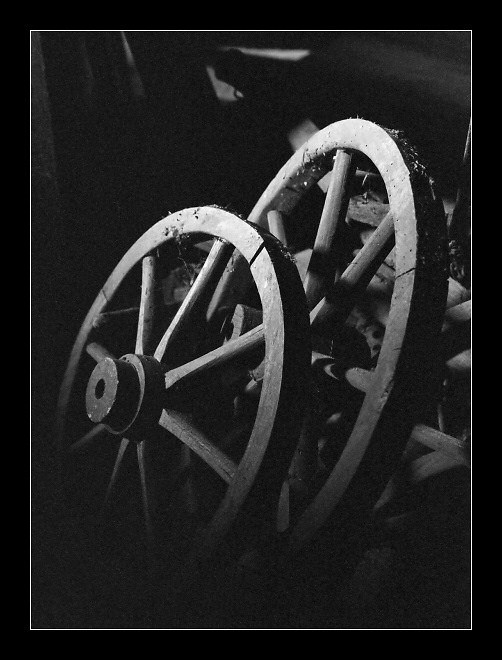 Zamilovaný žebřiňák