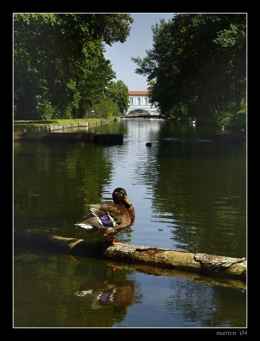 Schlosspark Nymphenburg