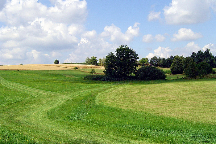 Rakouský venkov II.