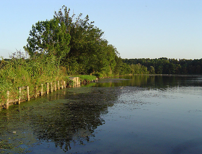 Poodří I.