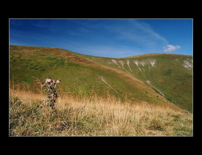 Rybovské sedlo