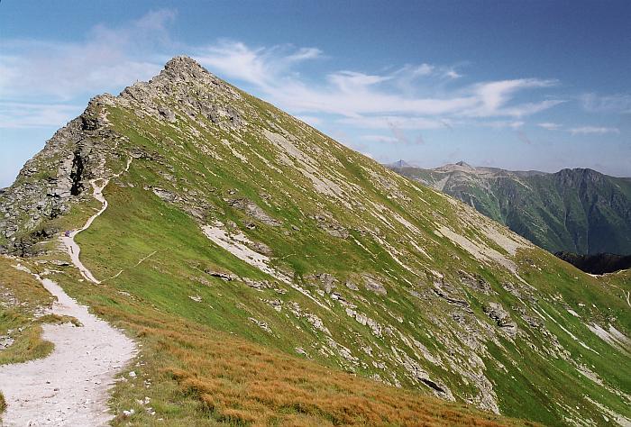 Plačlivo