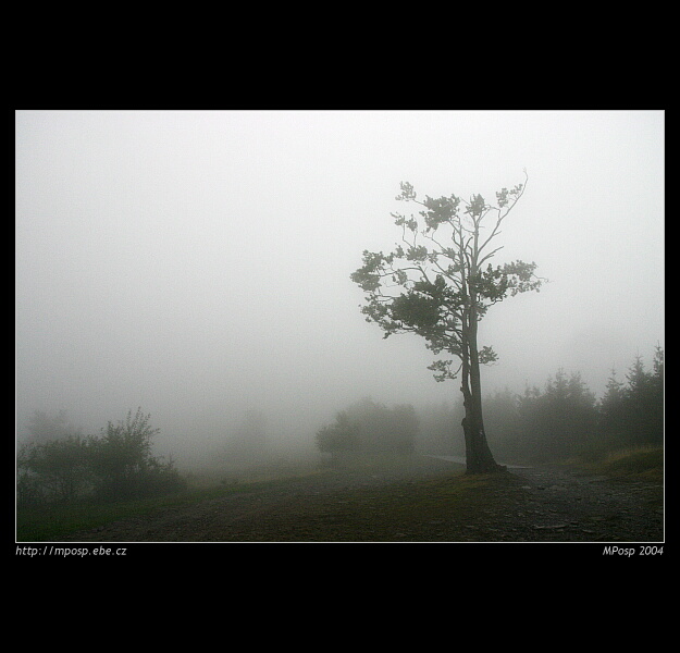 - ALONE -