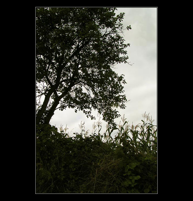 ....podzimní...nálada...