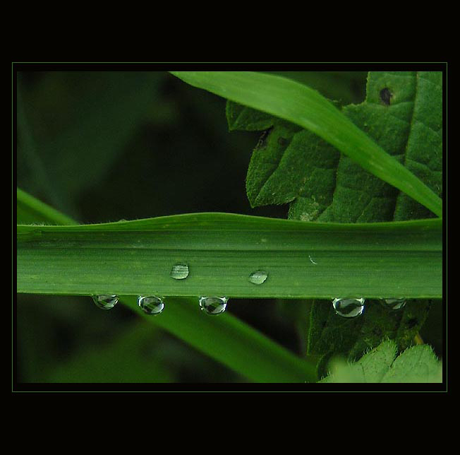 držíme se zuby-nehty