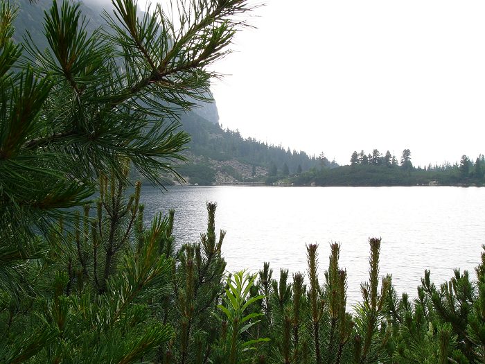 Štrbské Pleso