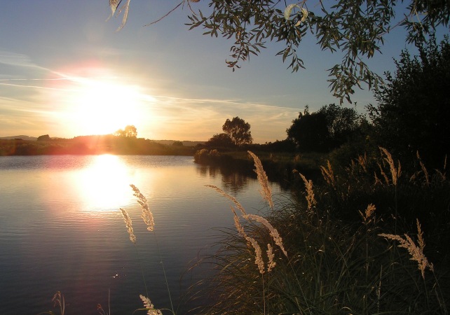Sedlo