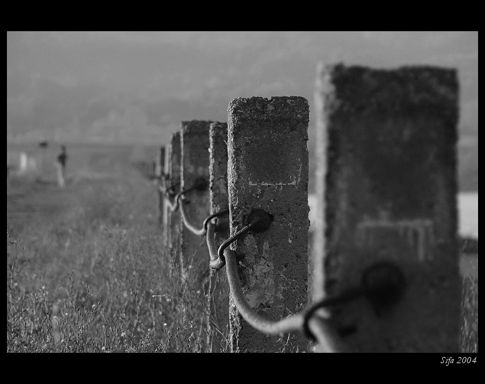 u  Zaječické přehrady