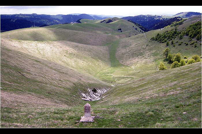Planina