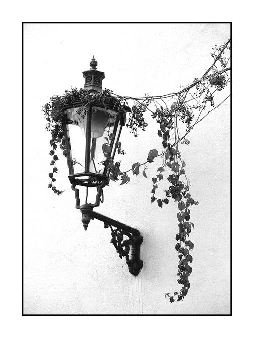 LUCERNA