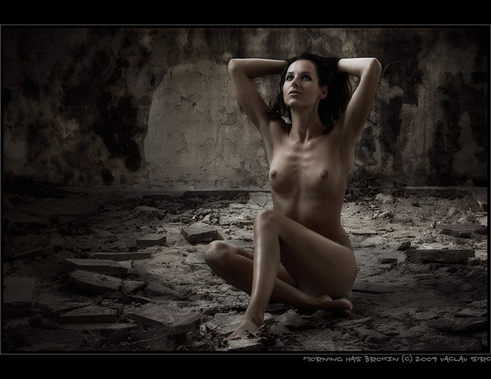 .: MORNING HAS BROKEN :.