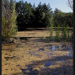 Schengenské rybníky