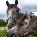 já chci být taky v záběru! :o)