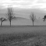 Pod Kletí - 12/2003