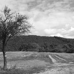 <b>Cestou necestou, kam strom ukáže...I.</b>