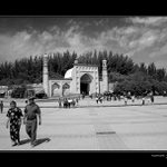 Cizinci ve vlastní zemi