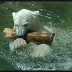 Kdo si hraje, nezlobí