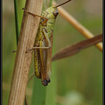 Jsem tu jen na skok...
