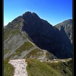 <b>[ostry roháč]</b>