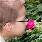 Jasně, že voní...