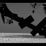 ... a pak už jsem ji neviděl ...