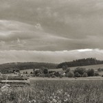 Dřevěné bednění